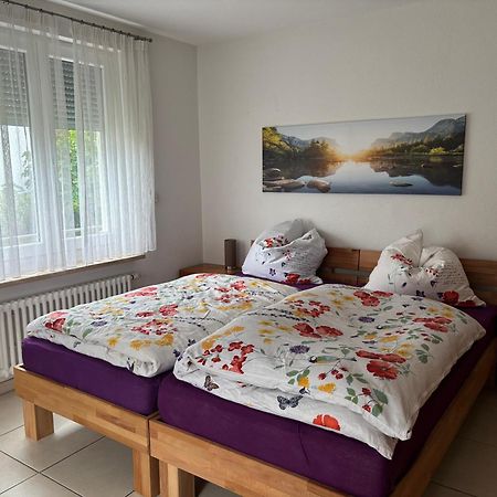 Klettgauperle - Familien- Und Behindertengerechte Ferienwohnung Griessen 外观 照片
